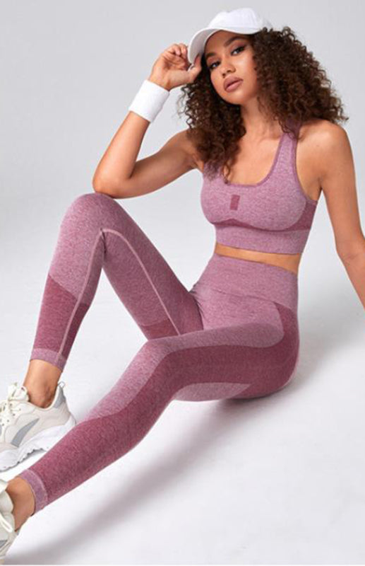 Women's Seamless Mesh Quick Dry Sports Bra And Leggings Gym Set