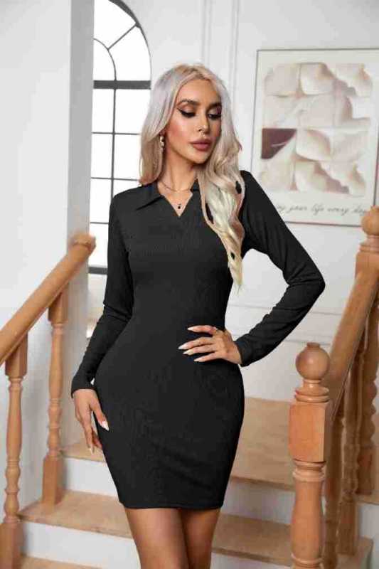 Women's Long Sleeve Short Length Lapel Fitted Dress